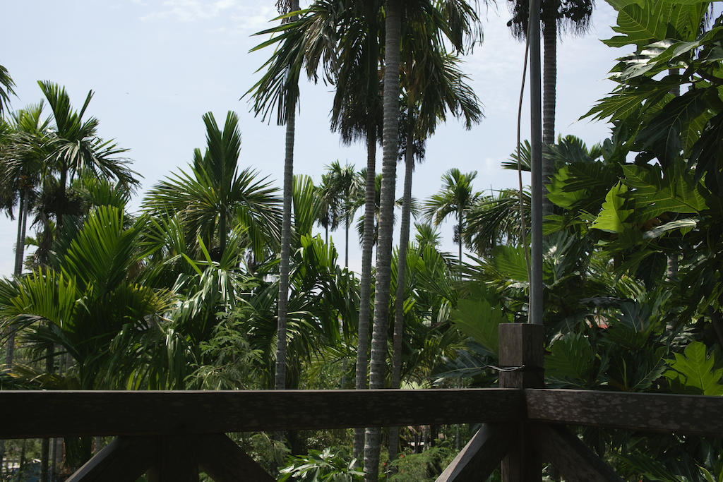 Lila Homestay Hoi An Eksteriør billede