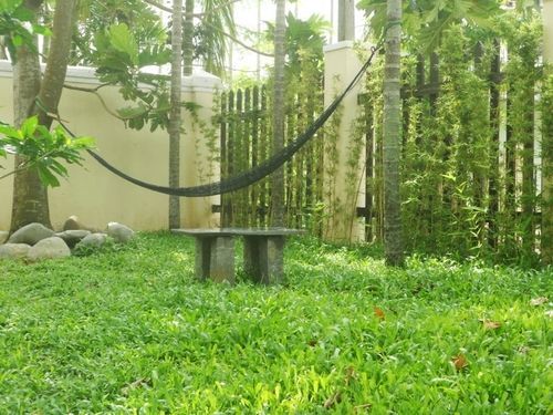 Lila Homestay Hoi An Eksteriør billede